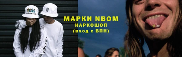прущие грибы Ельня