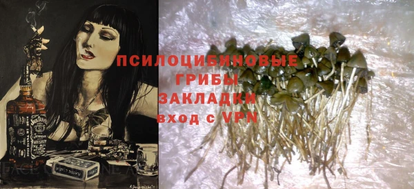 гашик Елабуга