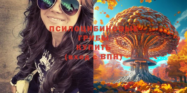 ПСИЛОЦИБИНОВЫЕ ГРИБЫ Алзамай