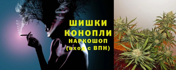 ПСИЛОЦИБИНОВЫЕ ГРИБЫ Алзамай