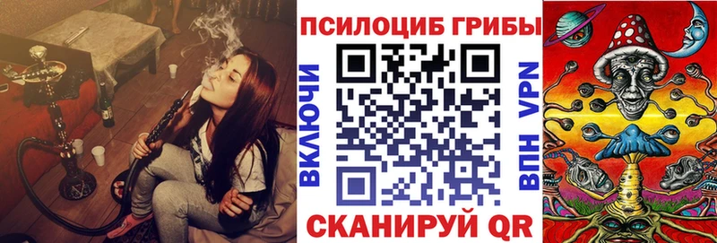 наркошоп  Хвалынск  Галлюциногенные грибы Psilocybine cubensis 